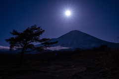 月に照らされて