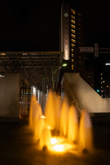DSC_0198