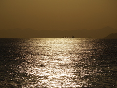 夕景 海