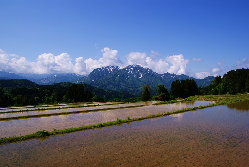 天空の田園