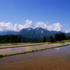 天空の田園