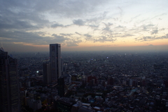 新宿の夕暮れ