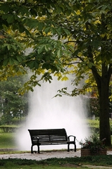 A bench