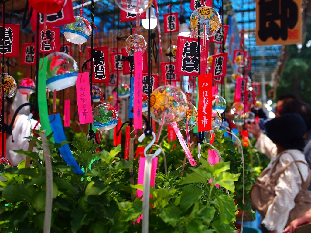 夏の風物