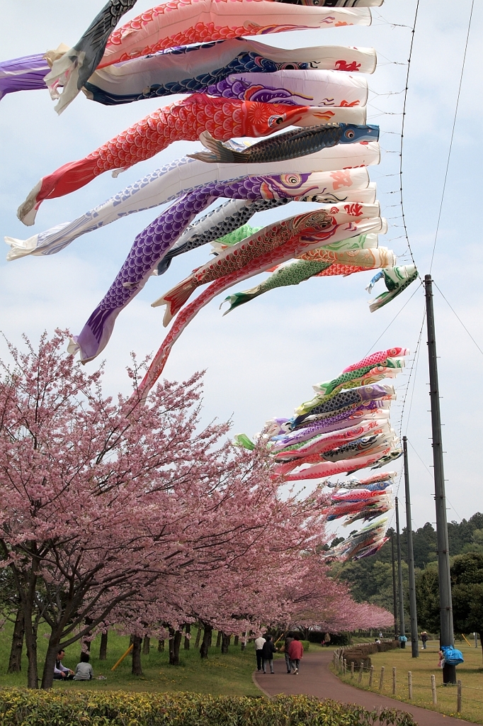 風に泳ぐ