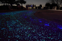 光る足跡