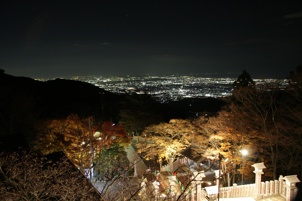 夜の散歩