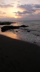 浜辺