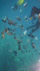 水遊び