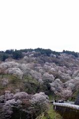 山のにぎわい