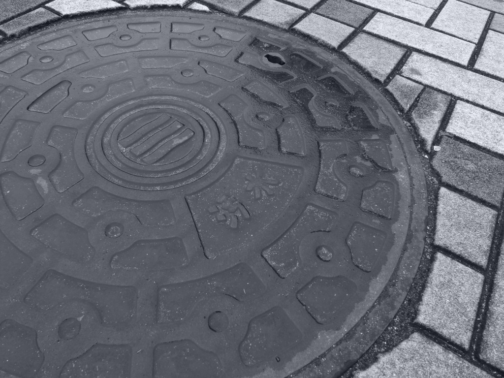 雨上がりの路面に