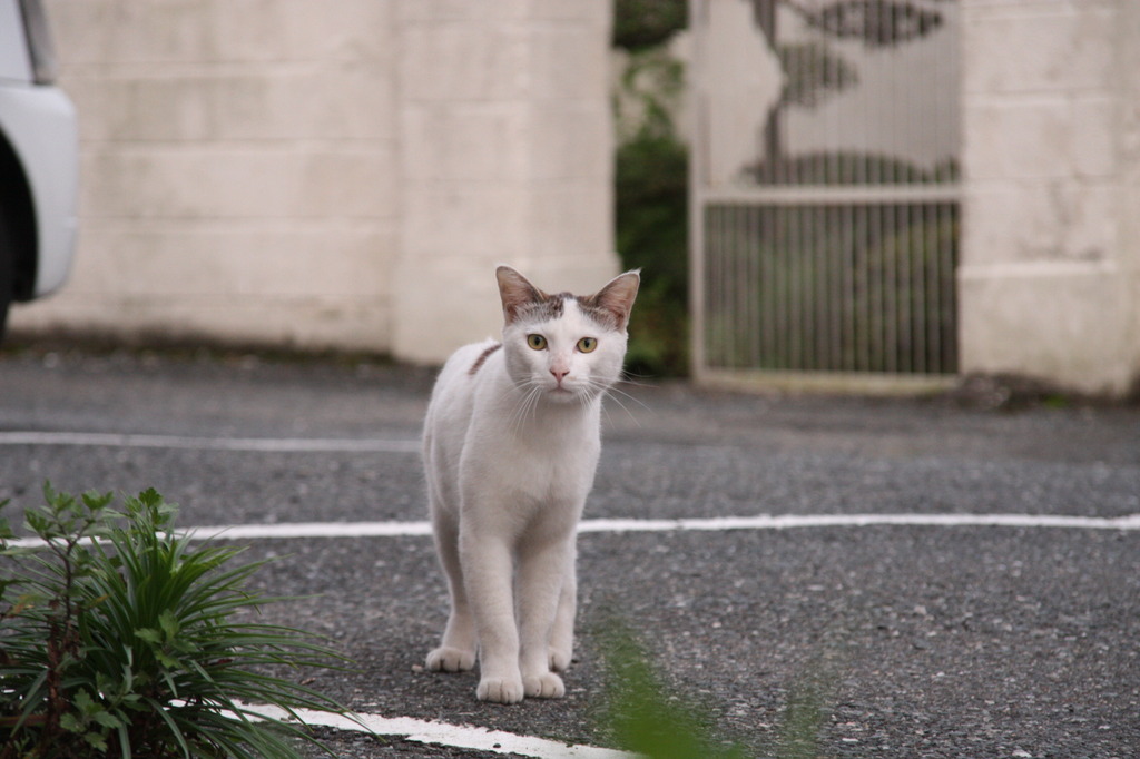 どちらさん？