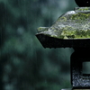 雨に洗われる石灯籠