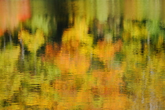 秋色に染まる湖面