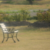 Love Bench