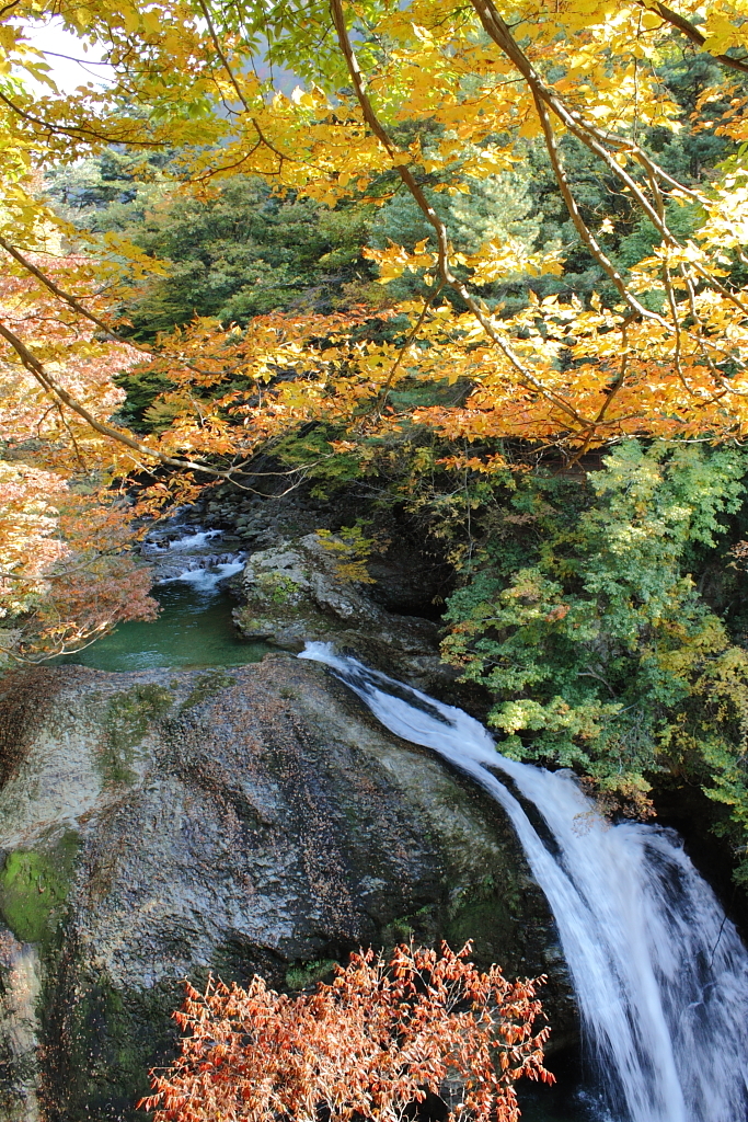 Waterfall Decoration