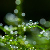 AQUA ILLUMINATION 2