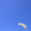 空２