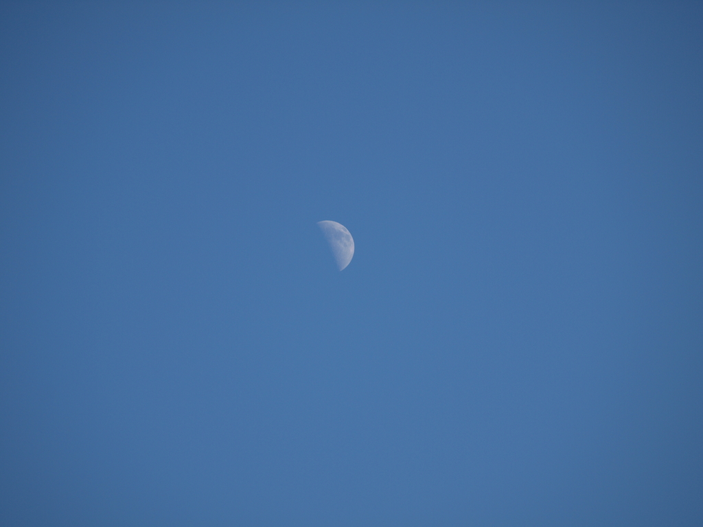 青空の月