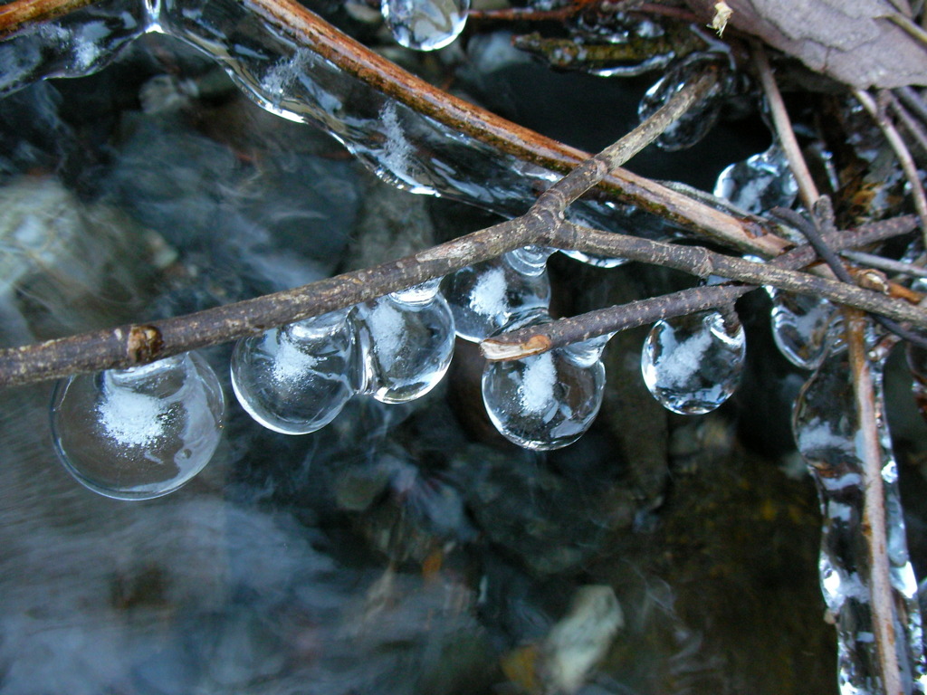 氷の実？