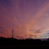 2010-11-23 今日の夕焼け