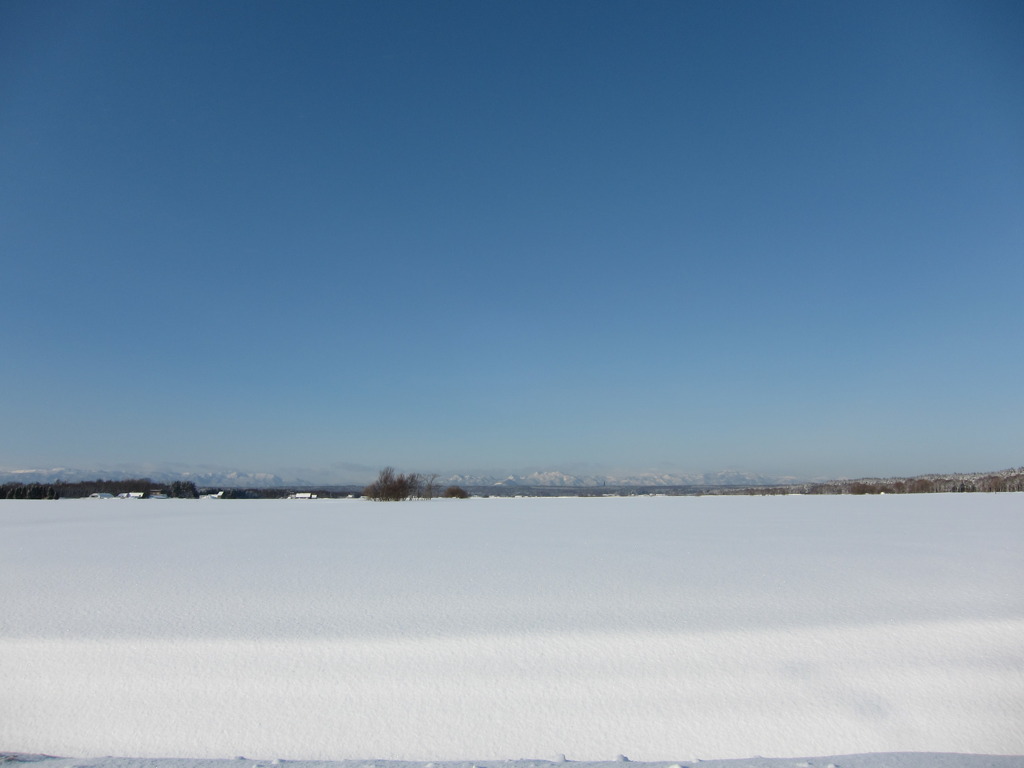 雪原