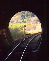 草木トンネル