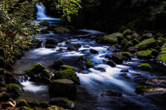 Stream.