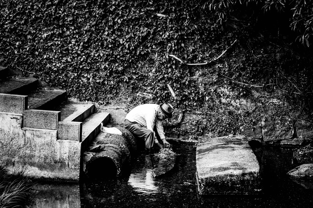 Wash.