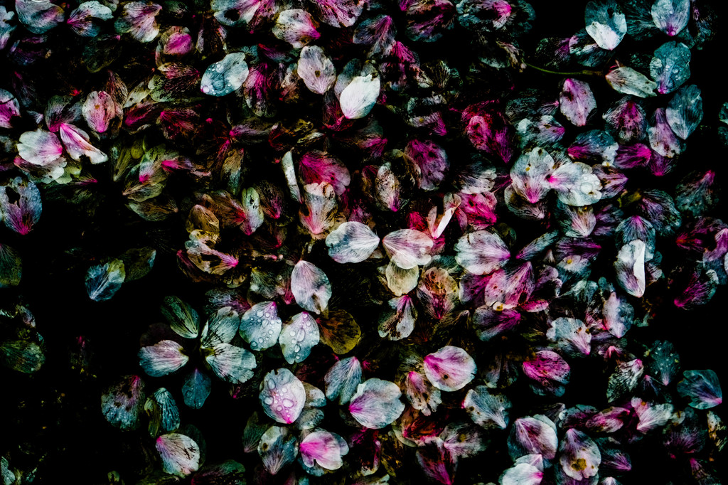 Ashes.