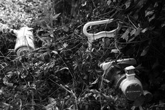 There is a light that never goes out.