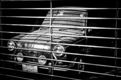 Mini.