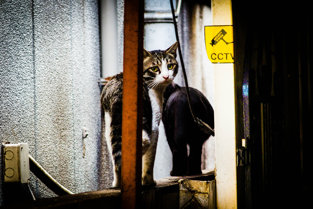 Don't look back with sad eyes.