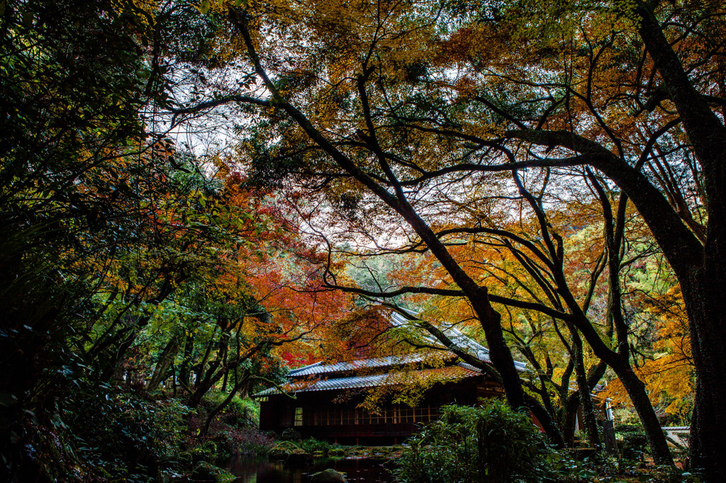 成道寺