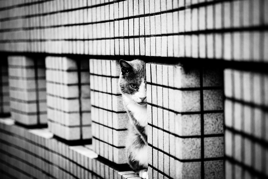 Cubic.