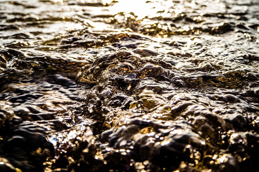 Wave Of Mutilation.