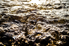 Wave Of Mutilation.