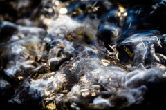 Wave Of Mutilation.