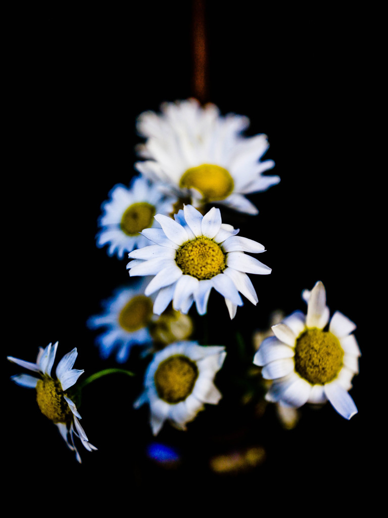 Flowers.