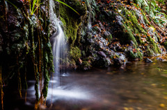Water Rock.