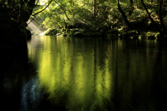 Green.