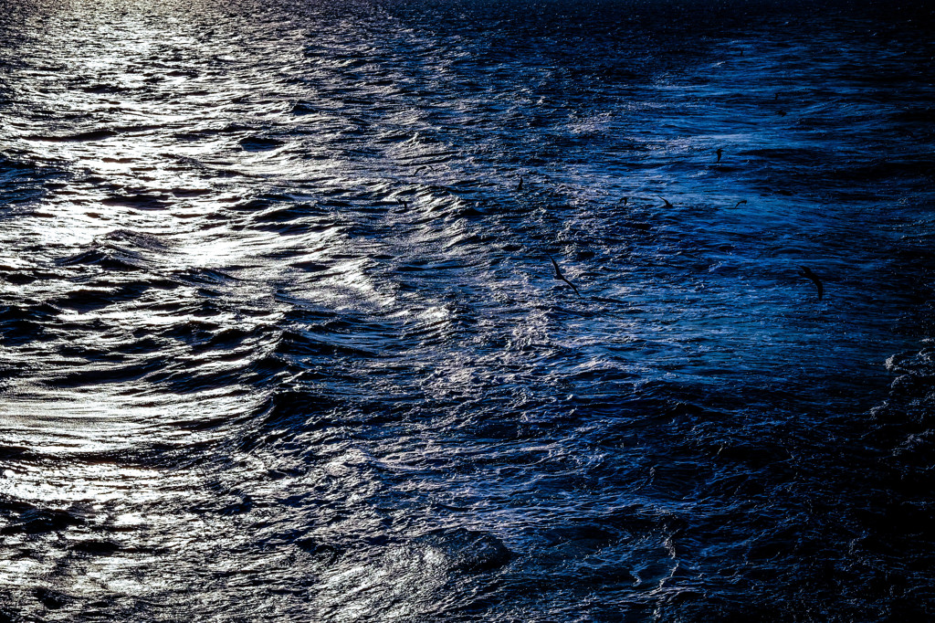 Wave The Motion.