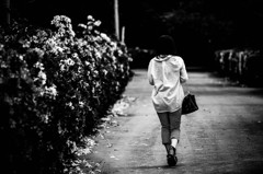 Park.