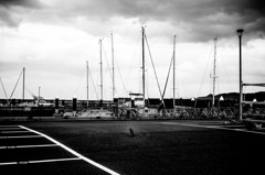 Harbor.