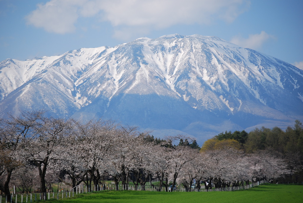 Mt.Iwate