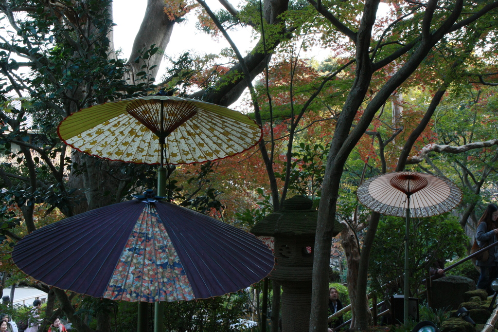 和傘の演出