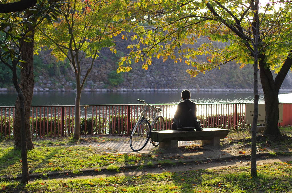 昼下がりの公園　（大阪城公園）