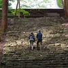 山寺　（京都　高雄）