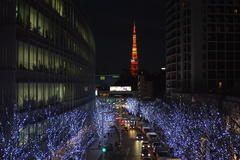 六本木から東京タワー
