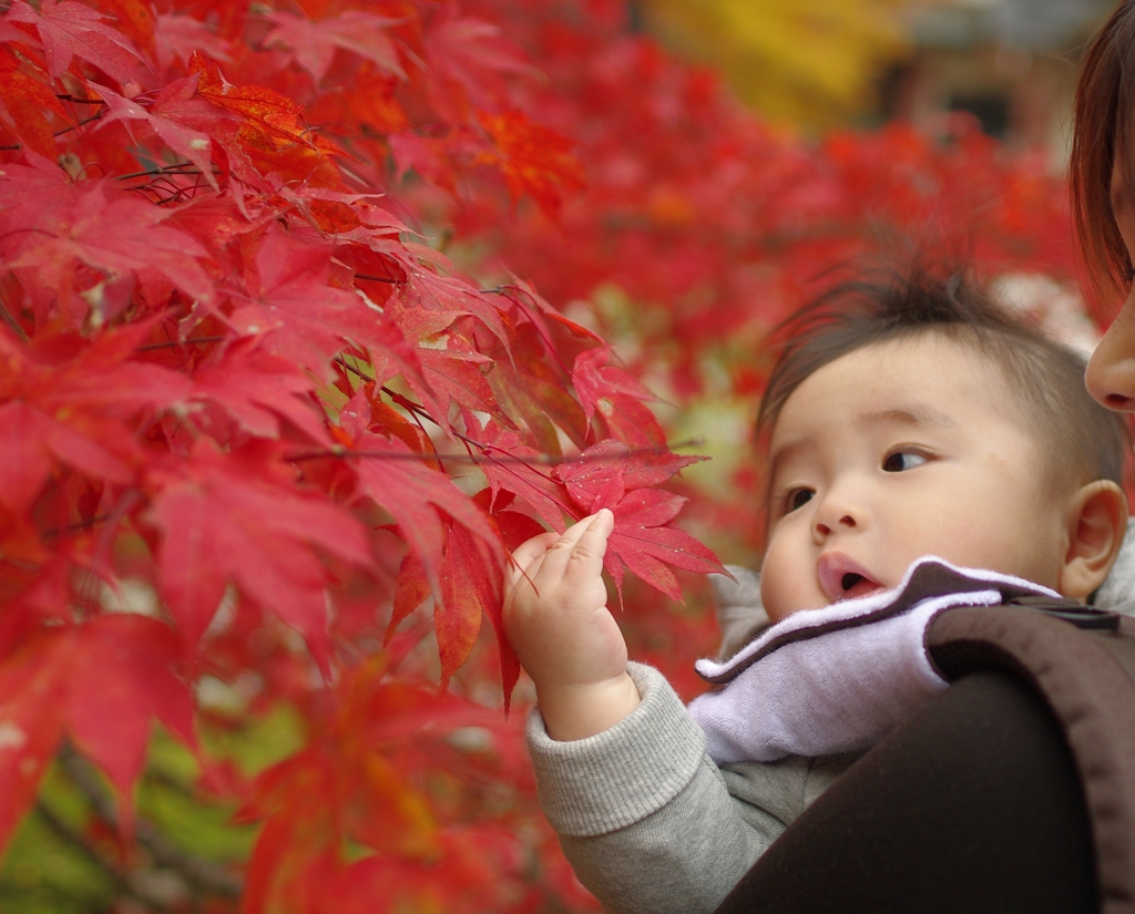 紅葉見に行きました(6か月)